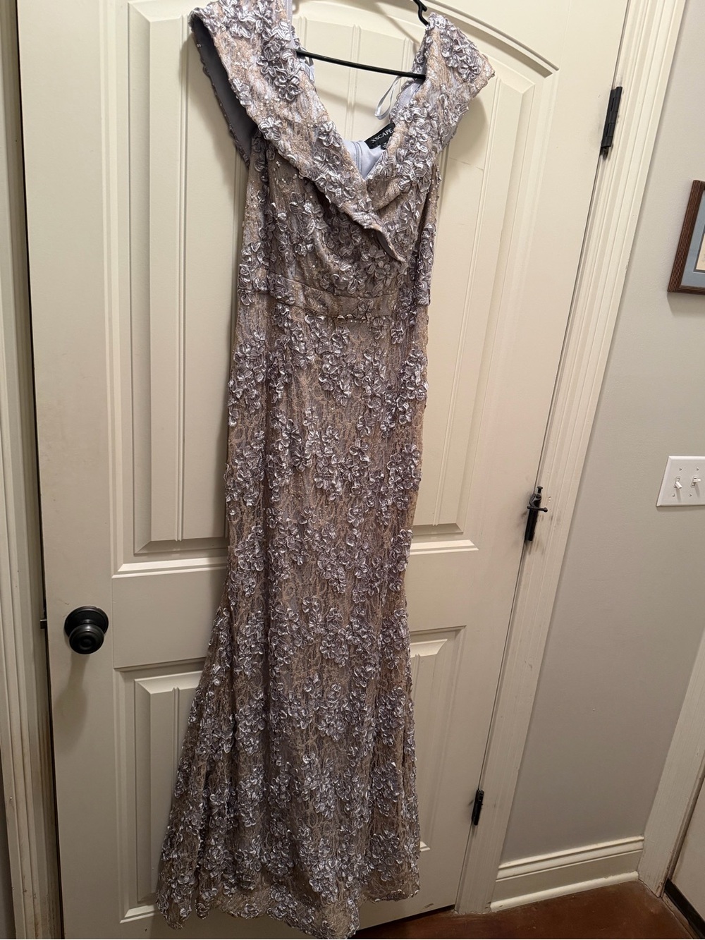 Xscape Taupe and Silver Lace Evening Gown